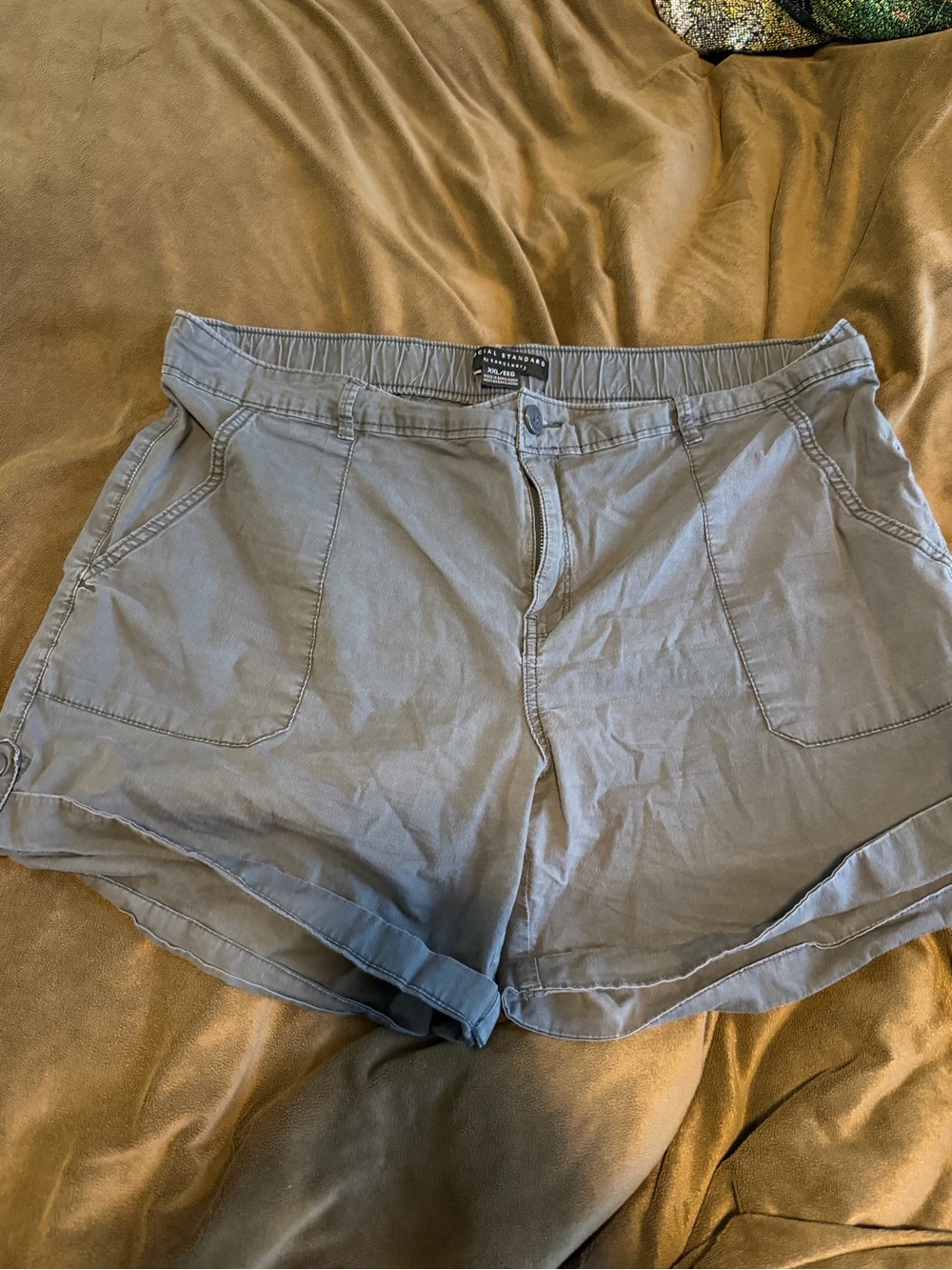 Social Standard by Sanctuary XXL Gray Utility Shorts